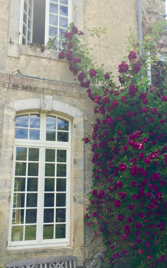 L'Orangerie Du Grand Jardin Villa Conde-sur-Seulles Exterior photo